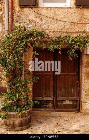 A classic double wood door at the entrance of an old rustic building, framed by a leafy green climbing plant. A large wooden barrel pot sits on the co Stock Photo