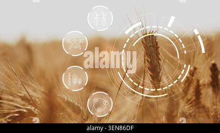 Smart farm technology enhances crop yield and monitoring in modern agriculture systems Stock Photo