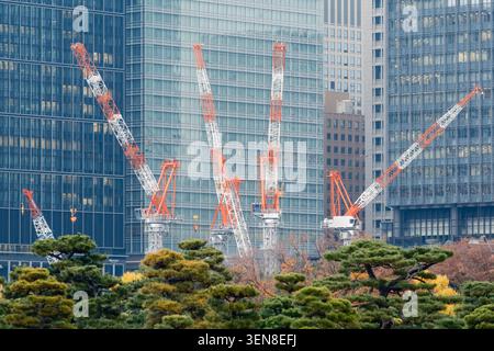 Large red and white industrial construction cranes towering over green park trees in front of glass skyscrapers, Tokyo, Japan Stock Photo