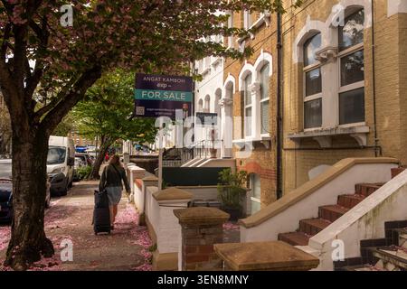 LONDON - APRIL 18, 2026: HAMMERSMITH – residential street with cherry blossom and for sale signs Stock Photo