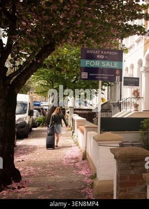 LONDON - APRIL 18, 2026: HAMMERSMITH – residential street with cherry blossom and for sale signs Stock Photo
