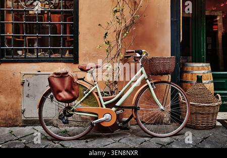 sage green vintage city bicycle with a wicker front basket and leather saddlebag against a tan wall, Rome, Italy, Europe Stock Photo