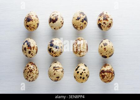 Top view of rows of quail eggs on white table Stock Photo