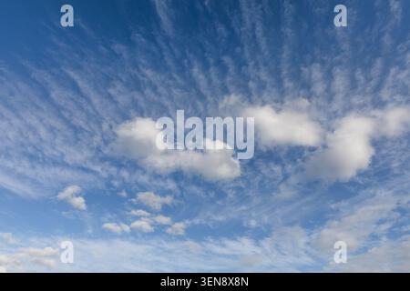 Beautiful white clouds and blue sky background over Norfolk England UK. Cloudscape and skyscape backdrop Stock Photo
