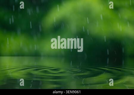 Nature background with rain drops on water surface and blurred green foliage bokeh Stock Photo