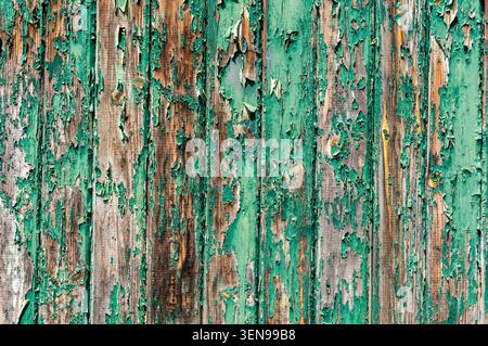 Flaking green paint on weathered wood as a background Stock Photo