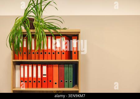 Office wooden bookcase filled with colorful ring binders with text copyspace. Concept: document archiving Stock Photo