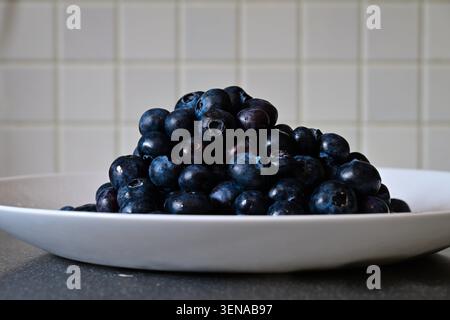 Fresh blueberries piled on white plate against tiled kitchen wall Stock Photo
