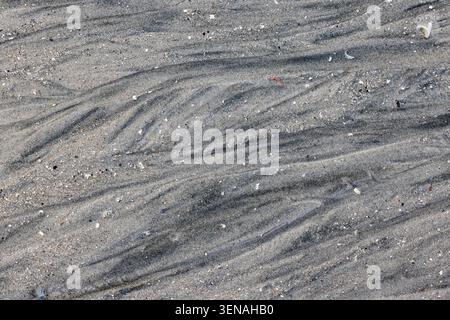 Black and gray pattern in the sand on a sandy beach, background Stock Photo