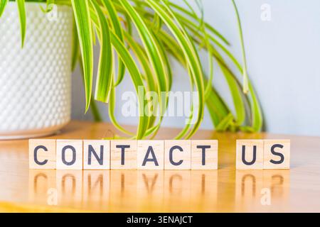 Contact Us word in printed text on wooden tiles with reflections and a spider plant for interest, website or social media element Stock Photo