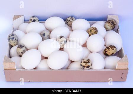 Quail and chicken eggs in a wooden box on a white background. Selective focus. Stock Photo