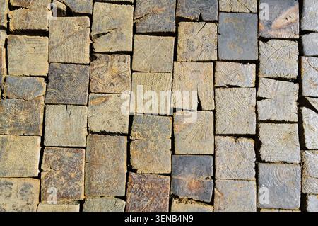 Wooden paving slabs in a park, closeup of photo Stock Photo