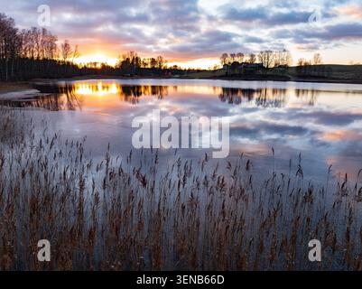 Colorful winter sunset reflected in the partially frozen waters of Dubuļkas Lake, Latvia Stock Photo