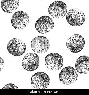 seamless pattern healthy longan fruit hand drawn. organic ripe, fresh nature, plant tropical healthy longan fruit black sketch illustration Stock Vector