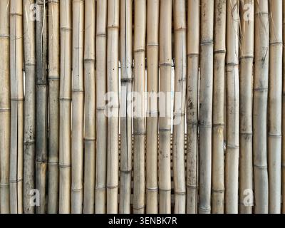 Bamboo Fence Texture Natural Vertical Wood Background Stock Photo