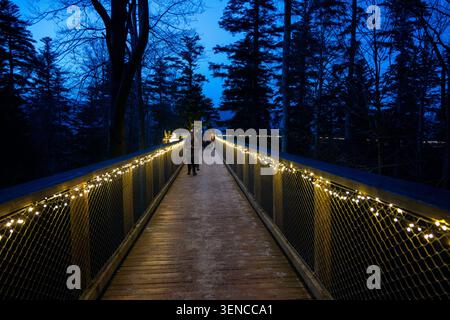 Bad Wildbad, Germany - 8 Feb 25: A straight wooden treetop walkway lined with warm string lights leads through dark forest trees during blue hour at t Stock Photo
