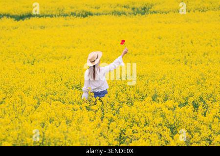 Woman walking through a vibrant yellow rapeseed field in spring Stock Photo