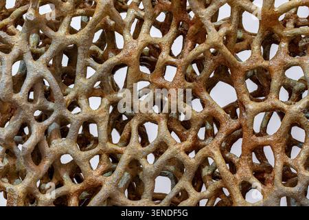 Abstract ceramic sculpture texture with porous organic lattice structure, geometric pattern, decorative art background, macro close up Stock Photo
