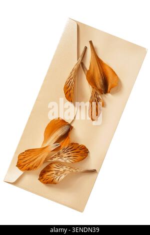 Yellow blank paper envelope with yellow fallen flower petals isolated over white Stock Photo