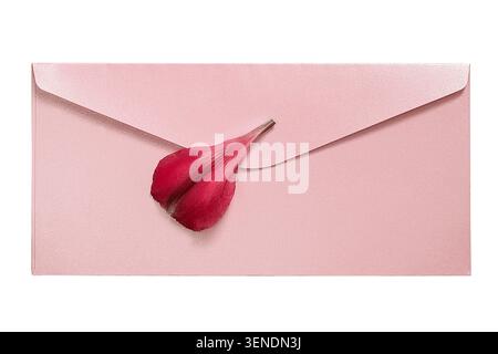 Red flower fallen petal lying on pink closed blank envelope isolated over white Stock Photo