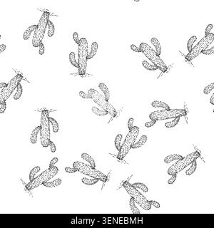 seamless pattern cactus plant sketch hand drawn vector green desert plant. cacti design. decoration garden vintage black line illustration Stock Vector