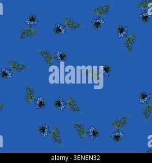 pattern medicine nigella sativa hand drawn. petal caraway, oil plant, asian health medicine nigella sativa vector sketch illustration Stock Vector