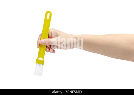 Woman's hand holding a cooking brush on the white background. Stock Photo