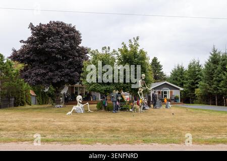 Halloween decorations displayed on a residential front lawn in Prince Edward Island Canada featuring giant skeleton figures spooky props and seasonal Stock Photo