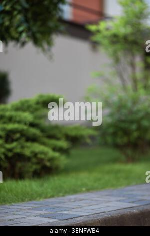 Stone paver sidewalk bordering lush green grass and blurred foliage in a peaceful outdoor park scene Stock Photo