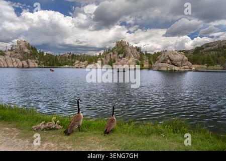 A horizontal landscape photograph highlighting Landscape Scene in Western United States. Wide-angle view captured under clouds at Sylvan Lake Stock Photo