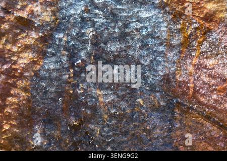 Abstract Rock Texture with Ice and Water Streaks in Winter Stock Photo