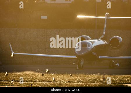Private jet parked at the airport during sunset with reflections on the wings and birds flying nearby Stock Photo