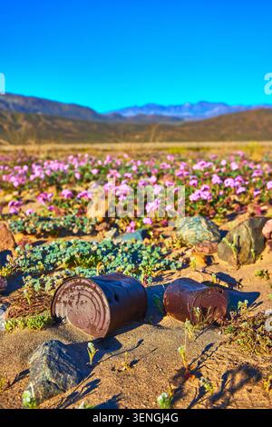 Rusty Cans Wildflowers and Sunrise Desert Landscape in Death Valley Stock Photo