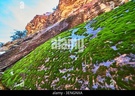 Moss Covered Rock and Towering Canyon Wall with Snow in Nevada Nature Stock Photo