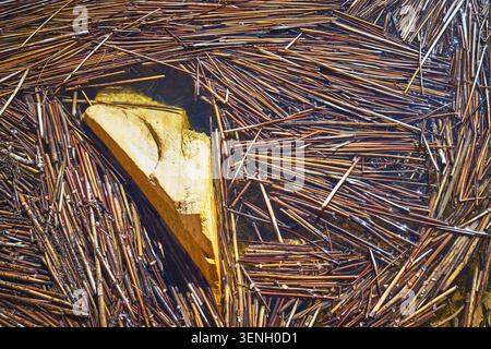 Pond Surface with Sandstone Rock and Dense Brown Reeds Close Up Nature Texture Stock Photo