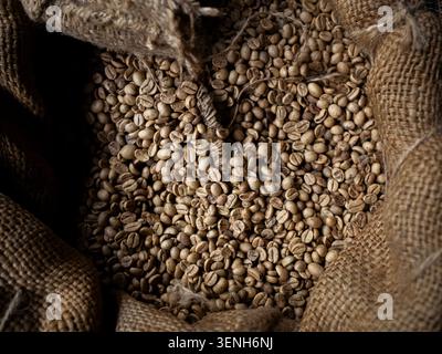 Overhead view of unroasted green coffee beans stored in a rustic burlap gunny sack. Stock Photo