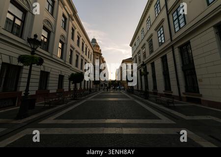An empty cobblestone street in a European city with historic buildings on both sides, benches, and trees, evoking a sense of quietness and serenity. Stock Photo