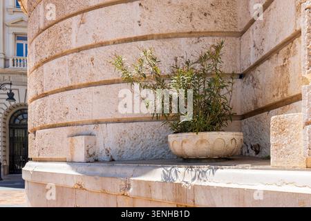 a bright green plant growing in a large decorative stone bowl placed on a ledge of a curved building facade. The textured stone wall features deep hor Stock Photo