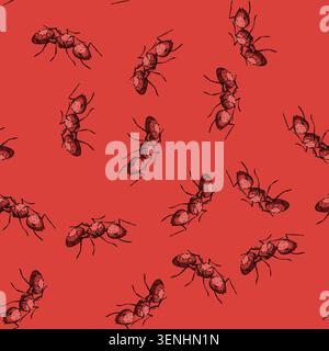 pattern soldier ant hand drawn. nest foraging, insect antennae, mandibles thorax soldier ant vector sketch illustration Stock Vector