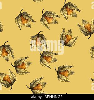pattern physalis orange berry hand drawn. fruit food, nature sweet, healthy fresh, exotic ripe, plant tasty physalis orange berry vector sketch illust Stock Vector