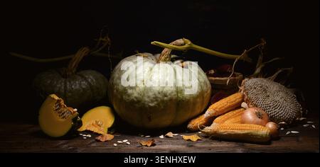 Pumpkin with cut squash and corn cobs on rustic surface in dark lighting. Autumn harvest still life with Thanksgiving vegetables and textured wooden background Stock Photo