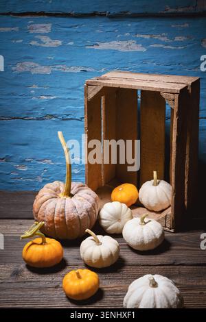 Pumpkins with small gourds on wooden crate against blue wall in moody light. Autumn harvest composition with squash and seasonal vegetables Stock Photo