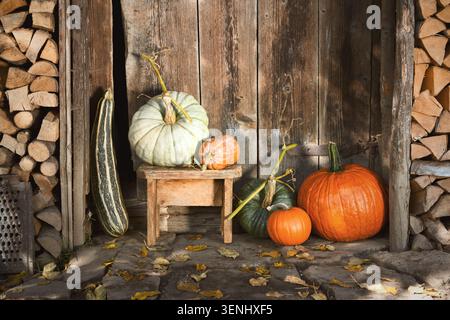 Pale green pumpkin on wooden stool beside orange squash in rustic doorway. Autumn harvest arrangement with gourds and farmhouse seasonal decor Stock Photo