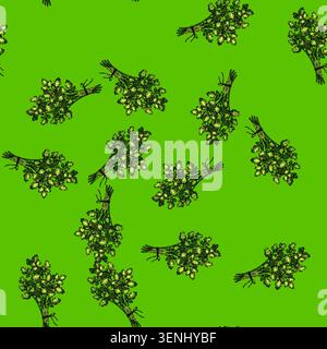 pattern plant chervil hand drawn. illustration food, fennel parsly, etching herb plant chervil vector sketch illustration Stock Vector