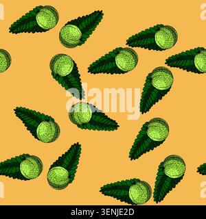 pattern berry amla hand drawn. indian green, ingredient fresh, vegetarian amla berry amla vector sketch illustration Stock Vector