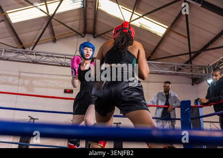 Two female boxers sparring inside boxing ring at gym, wearing red and blue headgear and gloves Stock Photo