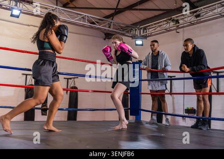 Diverse training group teenage boxer sparring with teammate in gym ring with pink and black gloves Stock Photo