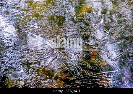 Autumn leaves glow beneath a shallow frozen lake, their warm hues shining through delicate ice crystals and starburst patterns. Stock Photo