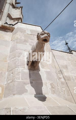 A low-angle view captures a weathered stone gargoyle protruding from the ornate facade of the Barcelona Cathedral Stock Photo