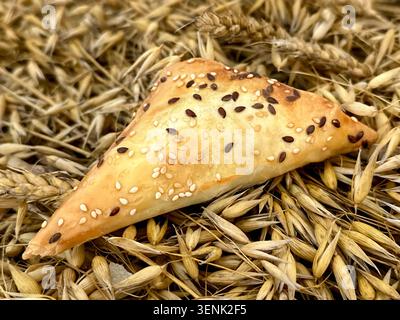 Cheese borek on golden ears of oats and wheat. Close-up front view. Composition of grain crops. Stock Photo